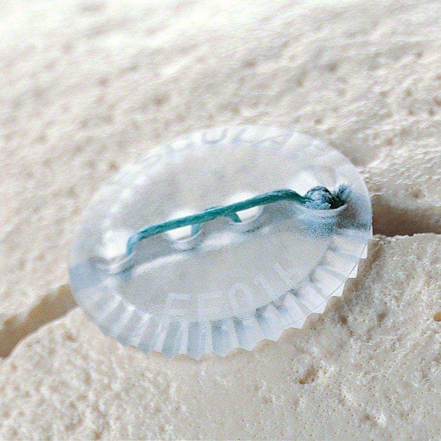 Product Picture CW Enlargement